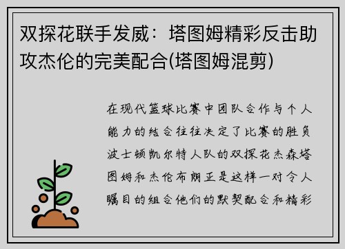 双探花联手发威：塔图姆精彩反击助攻杰伦的完美配合(塔图姆混剪)