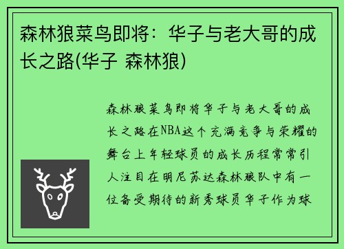 森林狼菜鸟即将：华子与老大哥的成长之路(华子 森林狼)